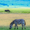 Ngorongoro Crater